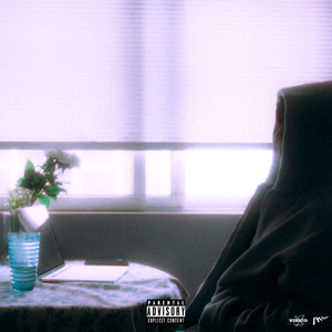 激情文学在线视频
