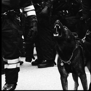 14岁初中女生光溜溜做爱
