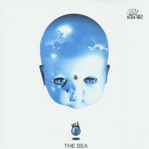 激情文学在线视频
