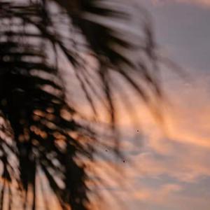 91在线国产一区
