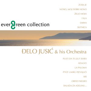 激情文学在线视频
