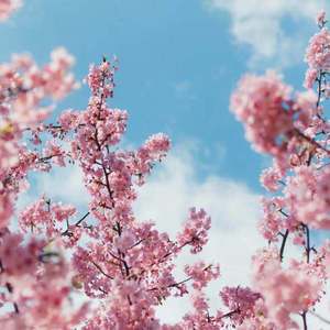 菊池风磨水溶溶的尺寸和参数介绍
