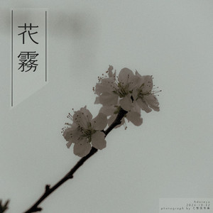 激情文学在线视频
